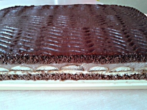 Kakaové rezy (fotorecept) - obrázok 12