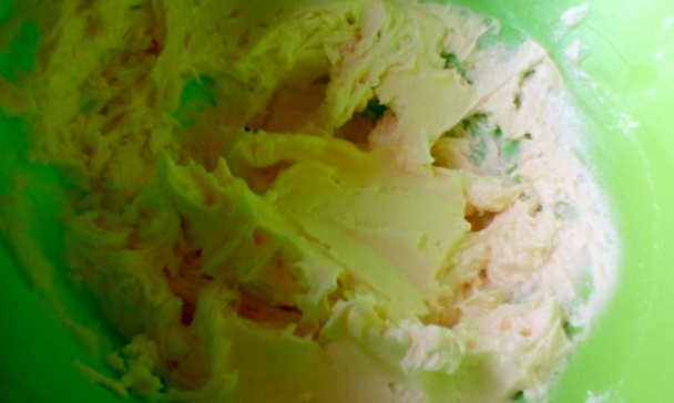 Flamengo rezy (fotorecept) - obrázok 4