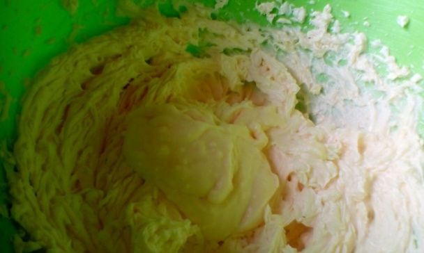 Flamengo rezy (fotorecept) - obrázok 5