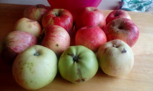 Babkin krehký jablčník (fotorecept) - obrázok 5