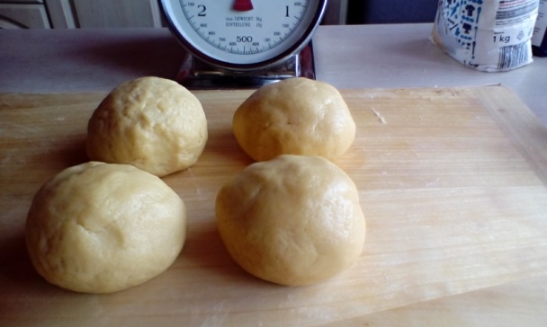 Mimóza rezy (fotorecept) - obrázok 3