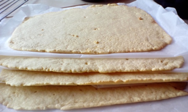 Mimóza rezy (fotorecept) - obrázok 6