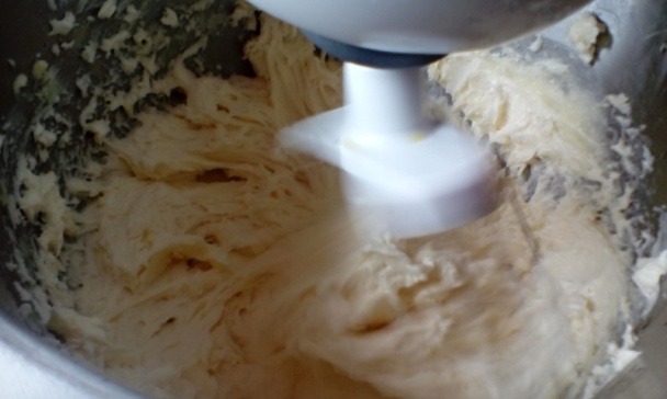 Mimóza rezy (fotorecept) - obrázok 7