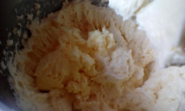 Mimóza rezy (fotorecept) - obrázok 8