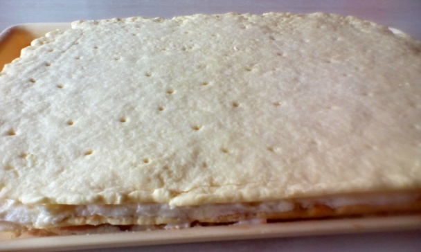 Mimóza rezy (fotorecept) - obrázok 13