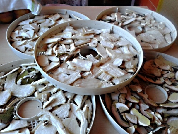 Dubáčiky v sladkokyslom náleve (fotorecept) - obrázok 11