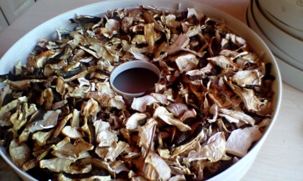 Dubáčiky v sladkokyslom náleve (fotorecept) - obrázok 12