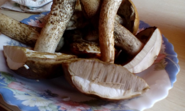 Fašírka z kozáka osikového (fotorecept) - obrázok 1