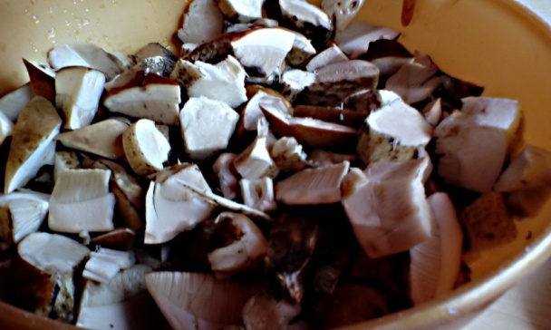 Fašírka z kozáka osikového (fotorecept) - obrázok 2