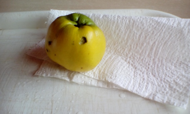 Panvicové pečené kuracie stehná na červenom víne s karamelizovanou dulou (fotorecept) - obrázok 10