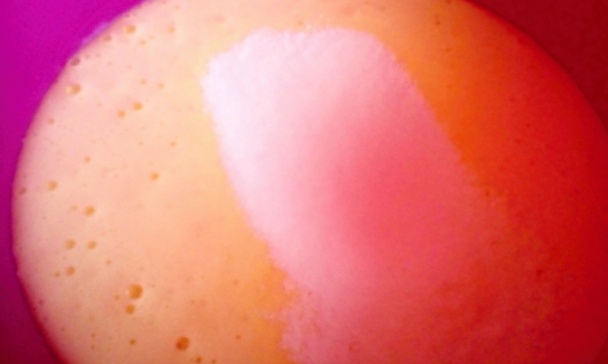 Jablkovo-kokosové rezy (fotorecept) - obrázok 2