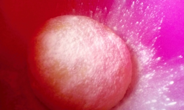 Jablkovo-makový a jablkovo-orechový závin (fotorecept) - obrázok 5