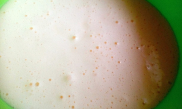 Hurmikaki rezy (fotorecept) - obrázok 1