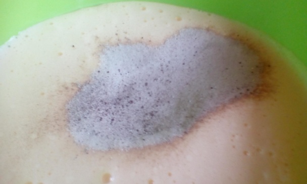 Hurmikaki rezy (fotorecept) - obrázok 2