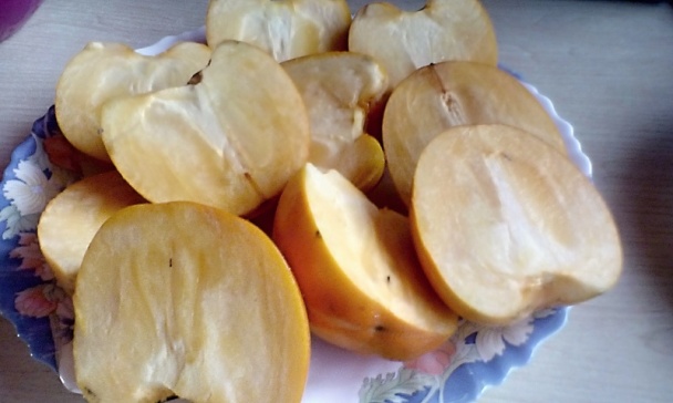 Hurmikaki rezy (fotorecept) - obrázok 8