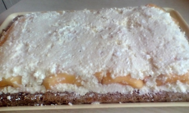 Hurmikaki rezy (fotorecept) - obrázok 9