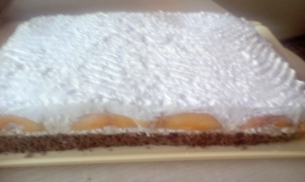 Hurmikaki rezy (fotorecept) - obrázok 10