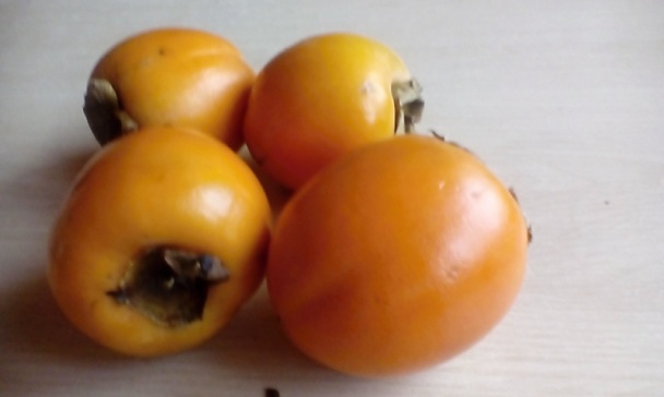 Hurmikaki rezy (fotorecept) - obrázok 12