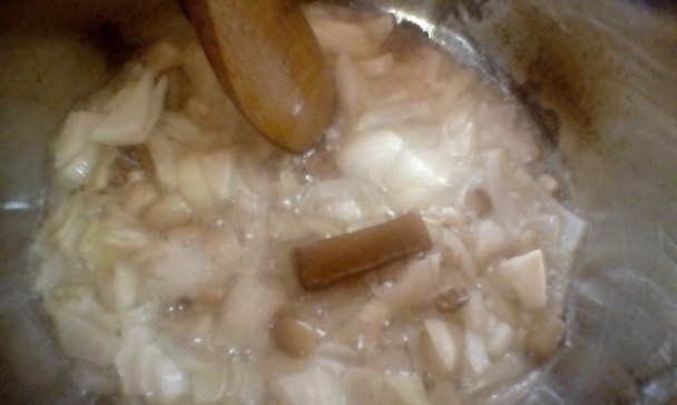 Hovädzí guláš (fotorecept) - obrázok 6