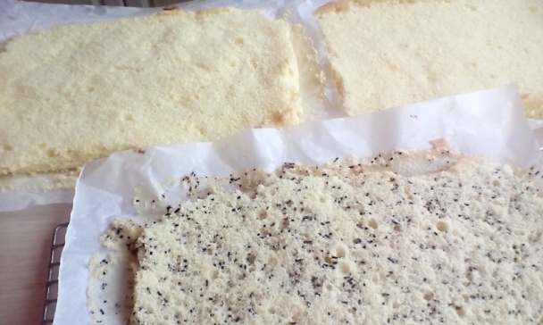 Viedenské rezy (fotorecept) - obrázok 3