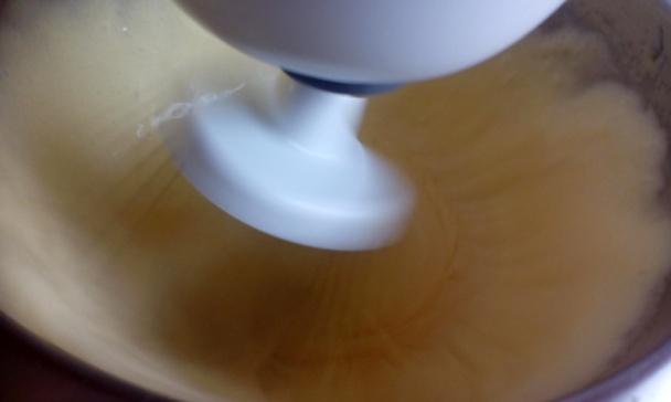 Sacherove rezy (fotorecept) - obrázok 1