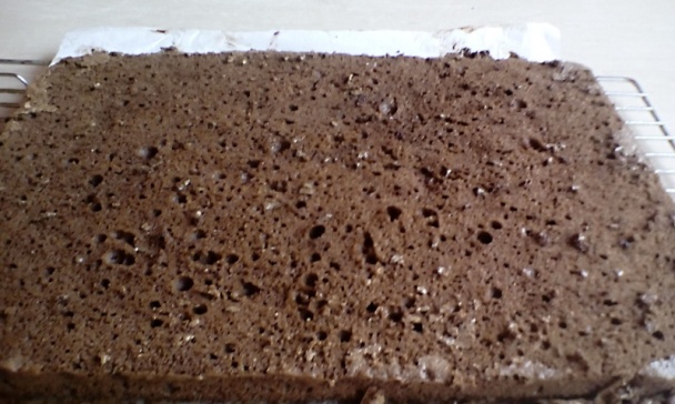 Sacherove rezy (fotorecept) - obrázok 3