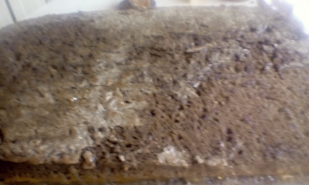 Sacherove rezy (fotorecept) - obrázok 9