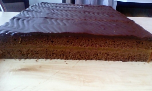 Sacherove rezy (fotorecept) - obrázok 12