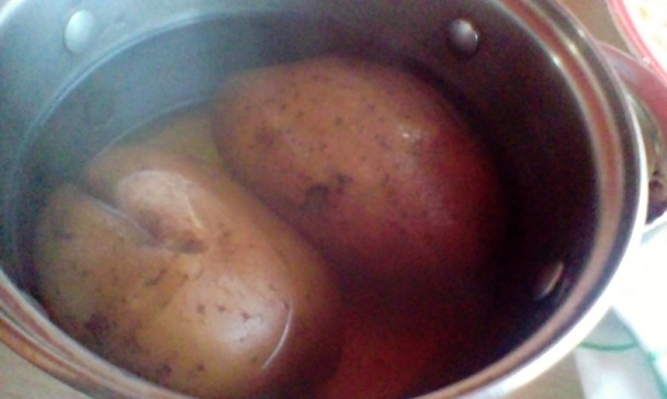 Granatiersky pochod (fotorecept) - obrázok 1