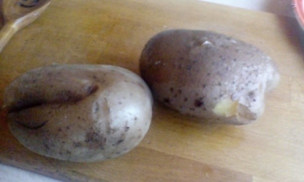 Granatiersky pochod (fotorecept) - obrázok 2