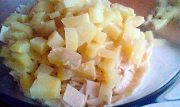 Granatiersky pochod (fotorecept) - obrázok 7