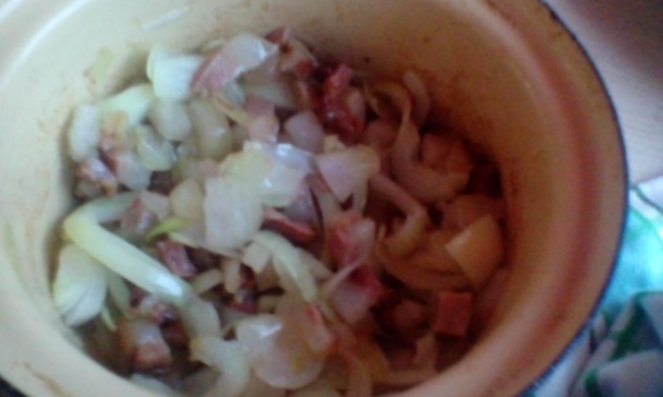 Granatiersky pochod (fotorecept) - obrázok 8