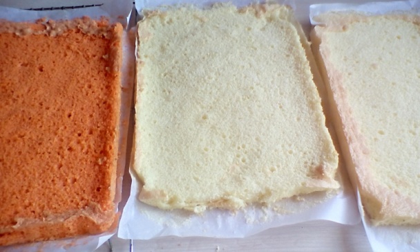 Punčové rezy (fotorecept) - obrázok 4