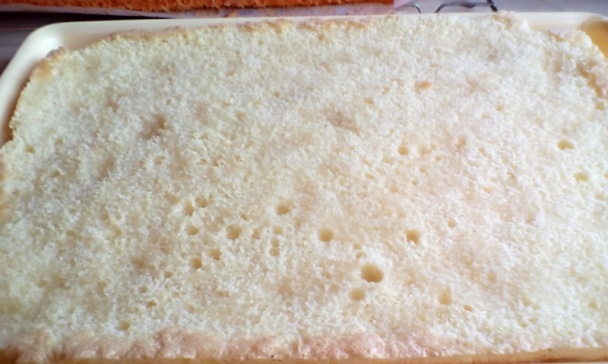 Punčové rezy (fotorecept) - obrázok 3