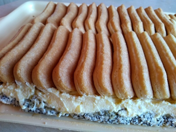 Lizbeth rezy (fotorecept) - obrázok 6