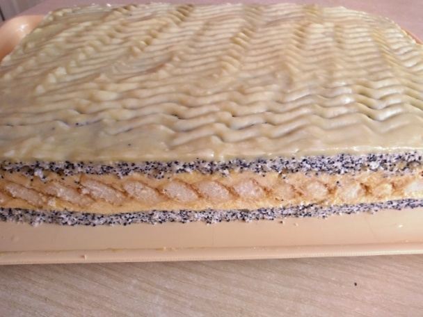 Lizbeth rezy (fotorecept) - obrázok 9