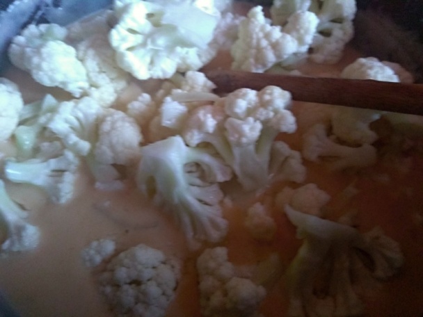 Karfiolový paprikáš s vajcovými nokerlami (fotorecept) - obrázok 7