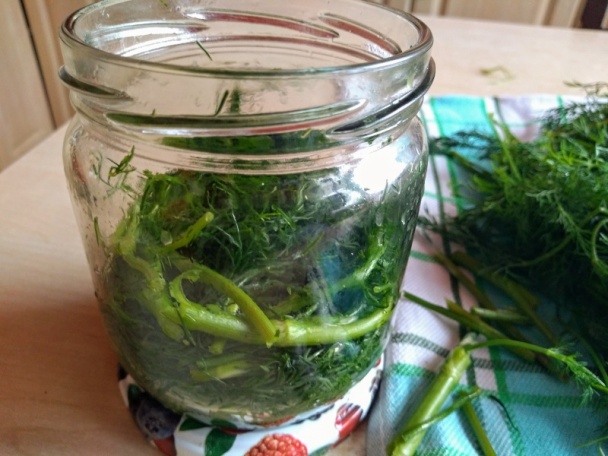 Zaváraný kôpor na zimu (fotorecept) - obrázok 2