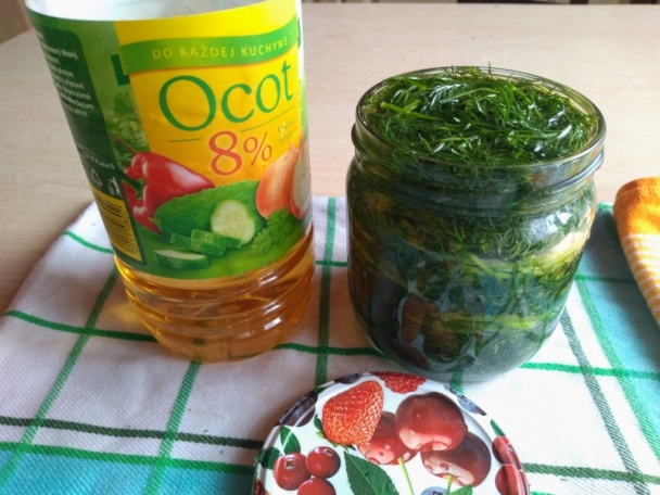 Zaváraný kôpor na zimu (fotorecept) - obrázok 4