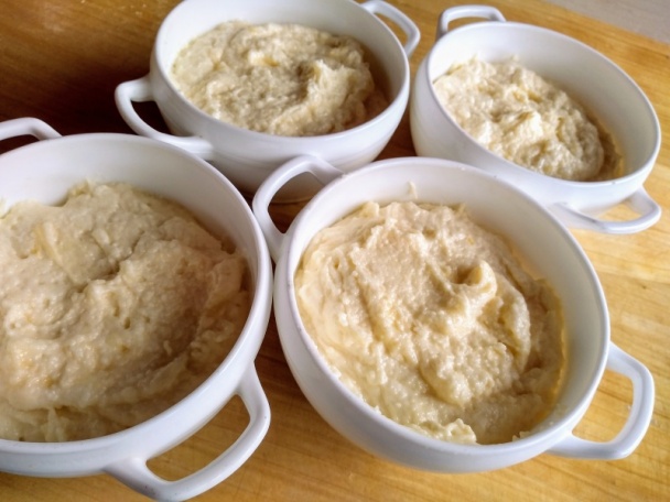 Snehulienka rezy (fotorecept) - obrázok 5