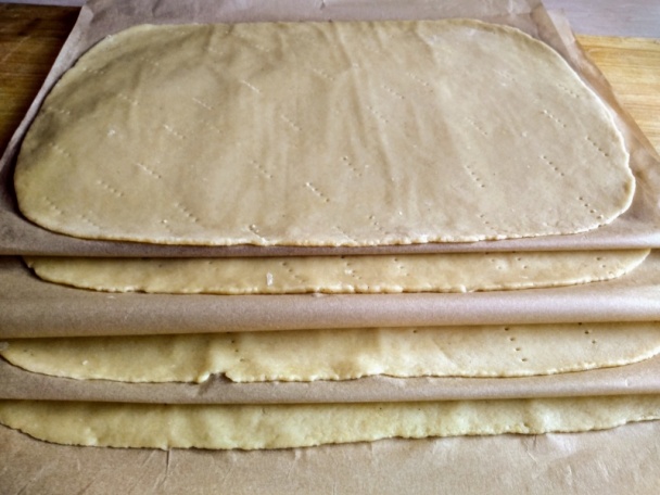 Snehulienka rezy (fotorecept) - obrázok 6