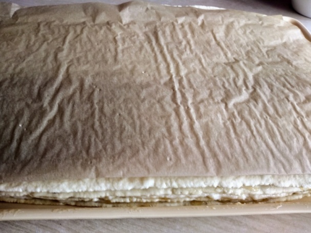 Snehulienka rezy (fotorecept) - obrázok 10