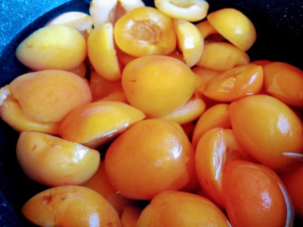 Marhuľové rezy s tvarohovým krémom a marhuľovicou (fotorecept) - obrázok 9