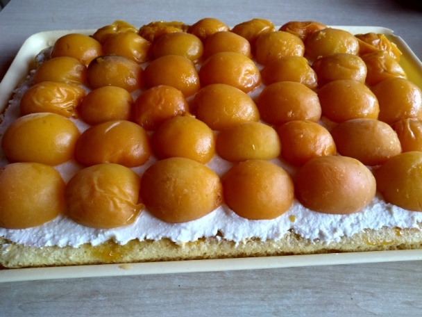 Marhuľové rezy s tvarohovým krémom a marhuľovicou (fotorecept) - obrázok 10
