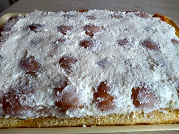 Marhuľové rezy s tvarohovým krémom a marhuľovicou (fotorecept) - obrázok 11