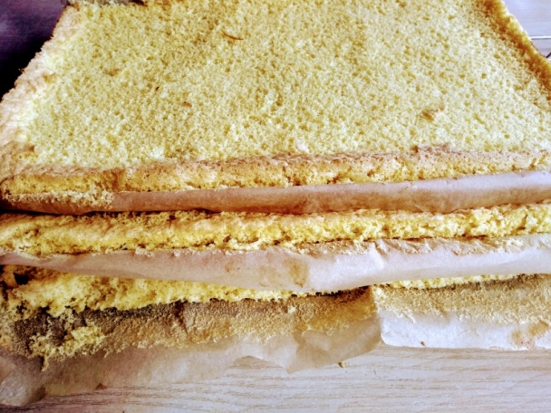 Viennetta rezy (fotorecept) - obrázok 3