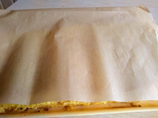 Viennetta rezy (fotorecept) - obrázok 9