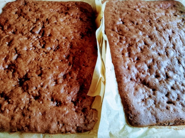 Prezident rezy (fotorecept) - obrázok 3