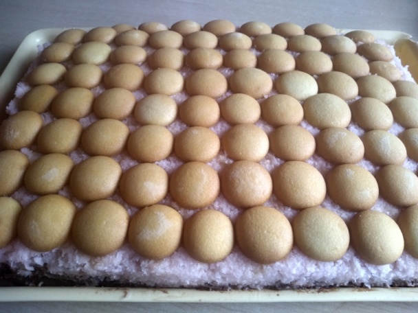 Prezident rezy (fotorecept) - obrázok 10