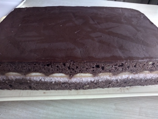 Prezident rezy (fotorecept) - obrázok 12